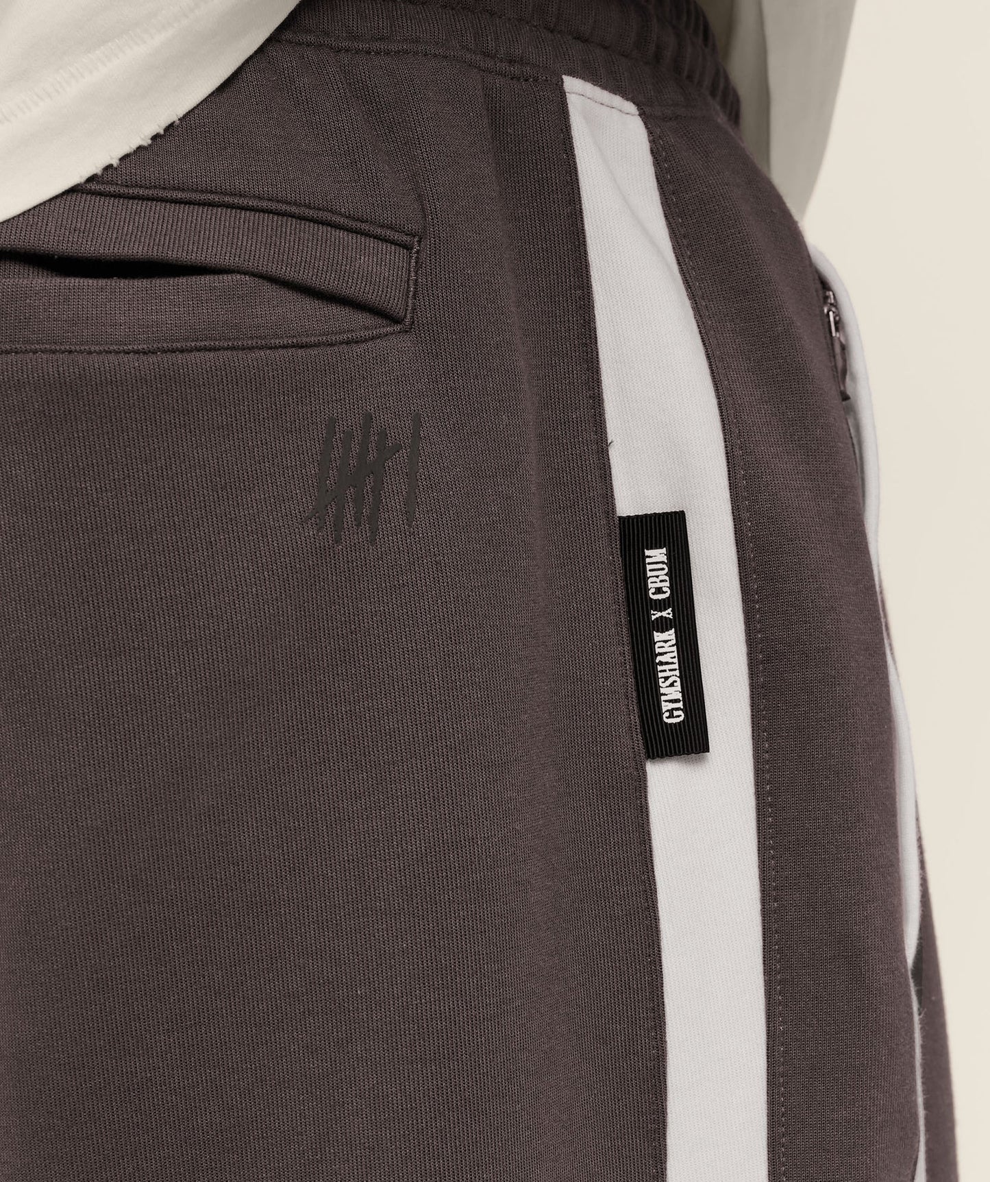 GS-0102 Gymshark x CBUM Straight Leg Jogger - Greyed Purple