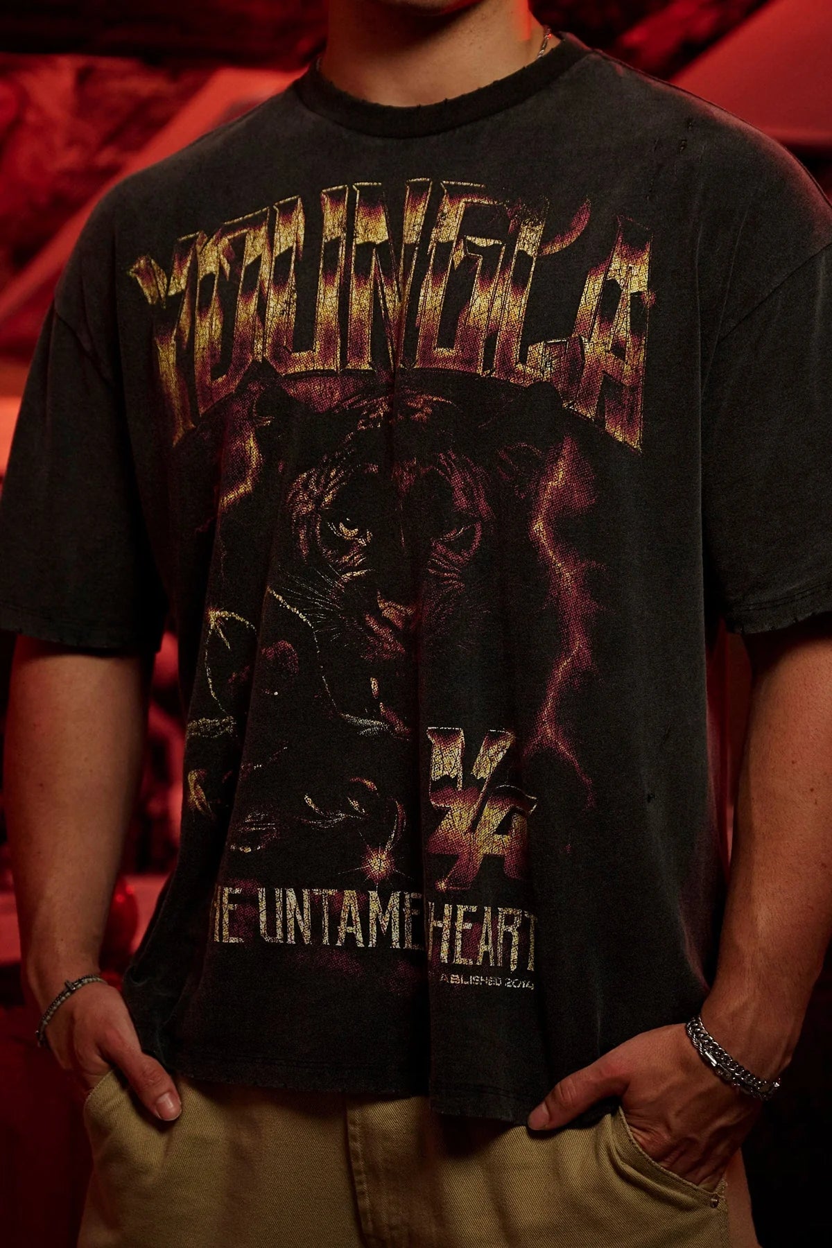4032 - VINTAGE WORLD TOUR TEES - WILD INSTICT
