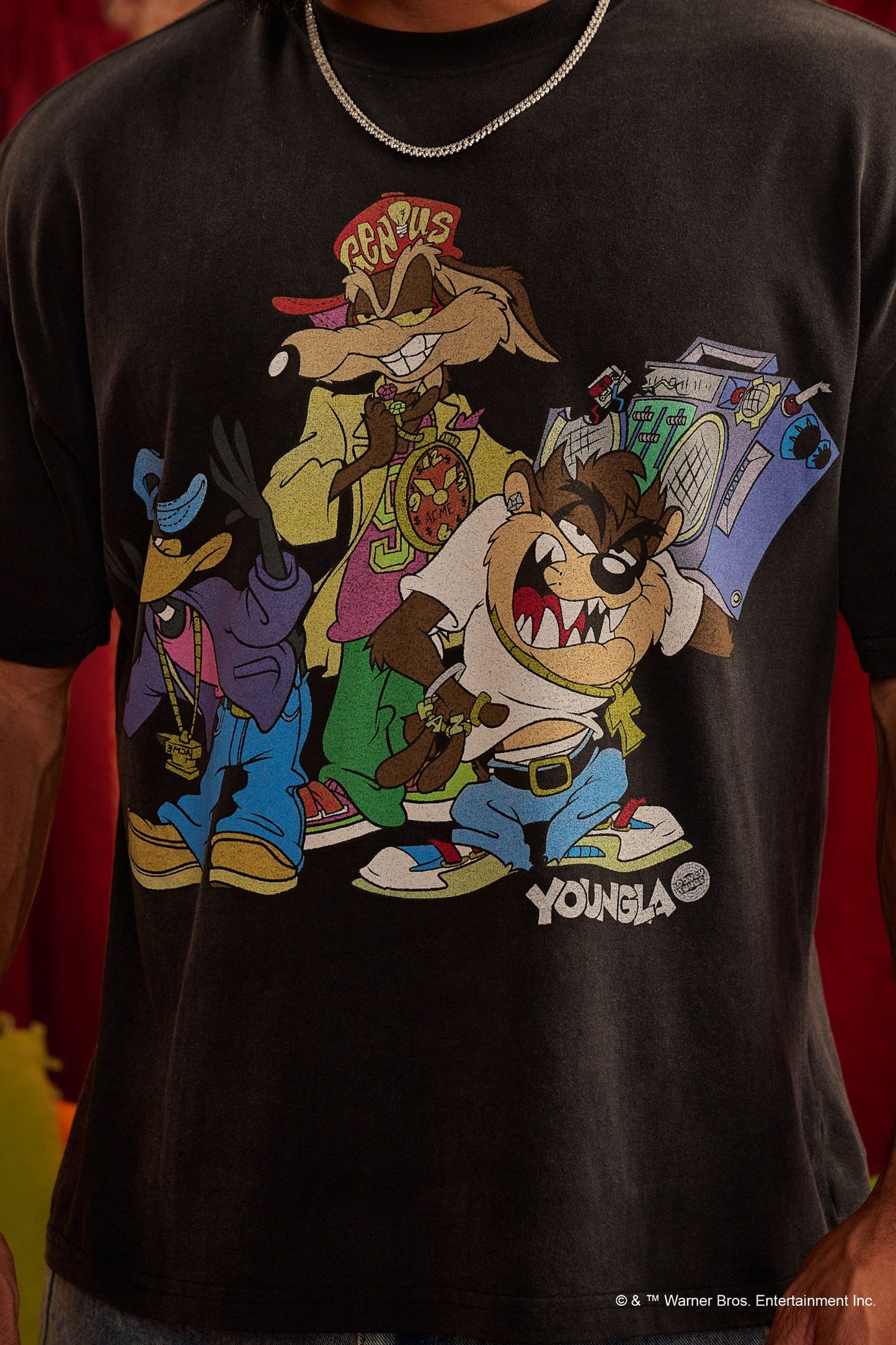 4291 - Looney Tunes Vintage Tees - Looney Crew