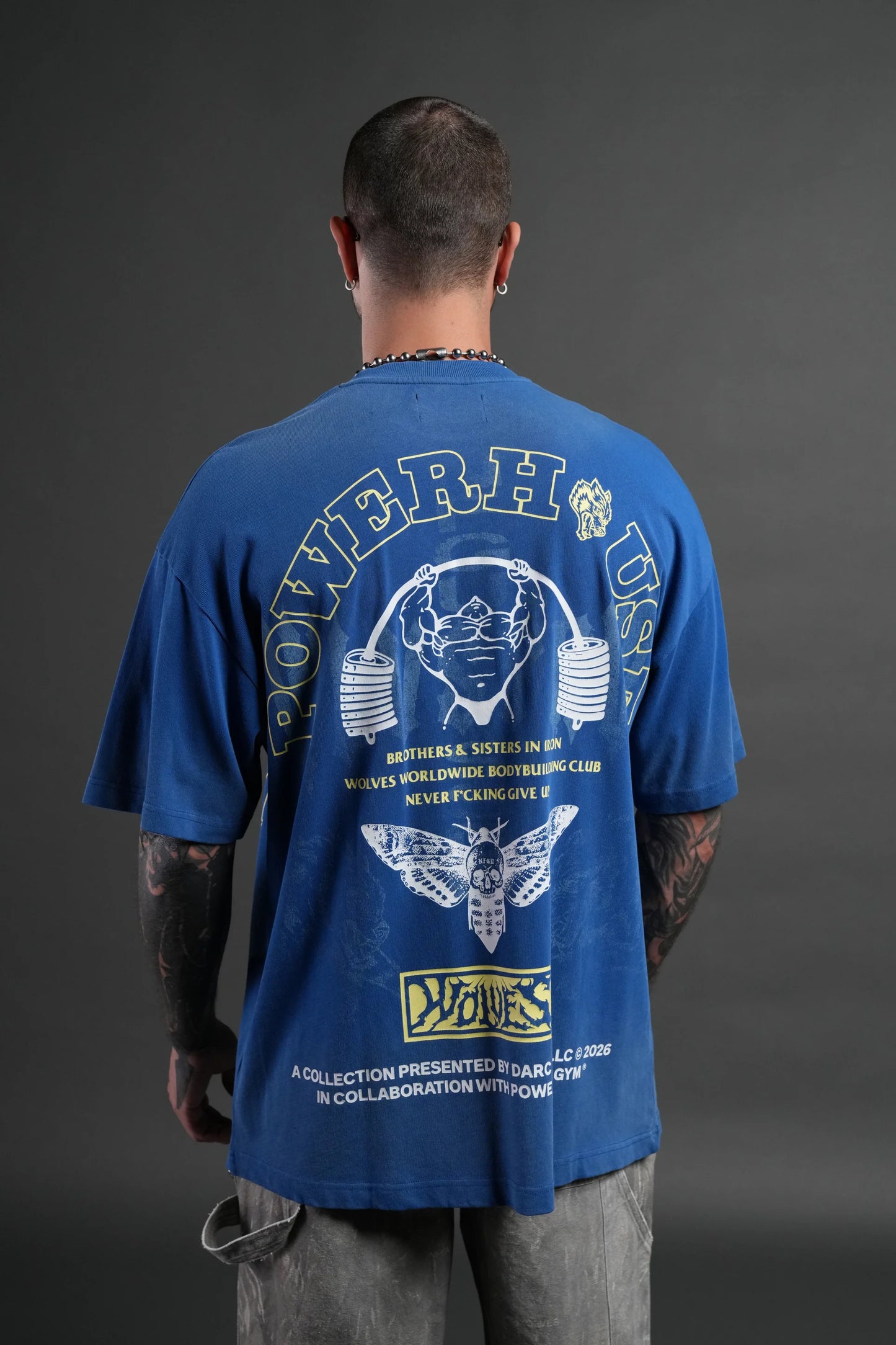 DS-0112 Powerhouse Moth Premium Oversized Tee in Darc Cobalt Drift Wash