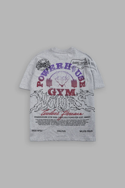 DS-0114 Powerhouse Hesh Premium Oversized Tee in Light Athletic Gray