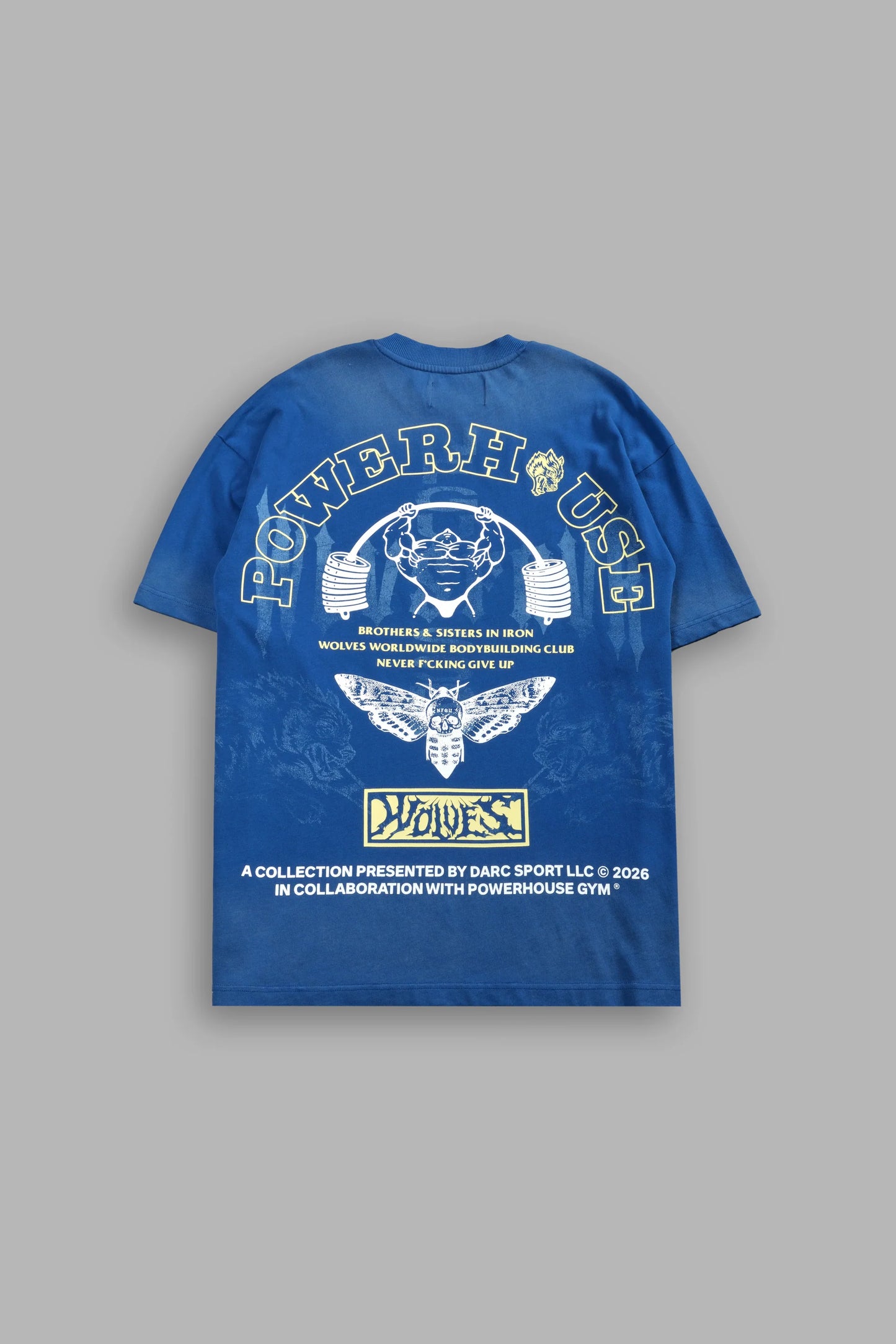 DS-0112 Powerhouse Moth Premium Oversized Tee in Darc Cobalt Drift Wash