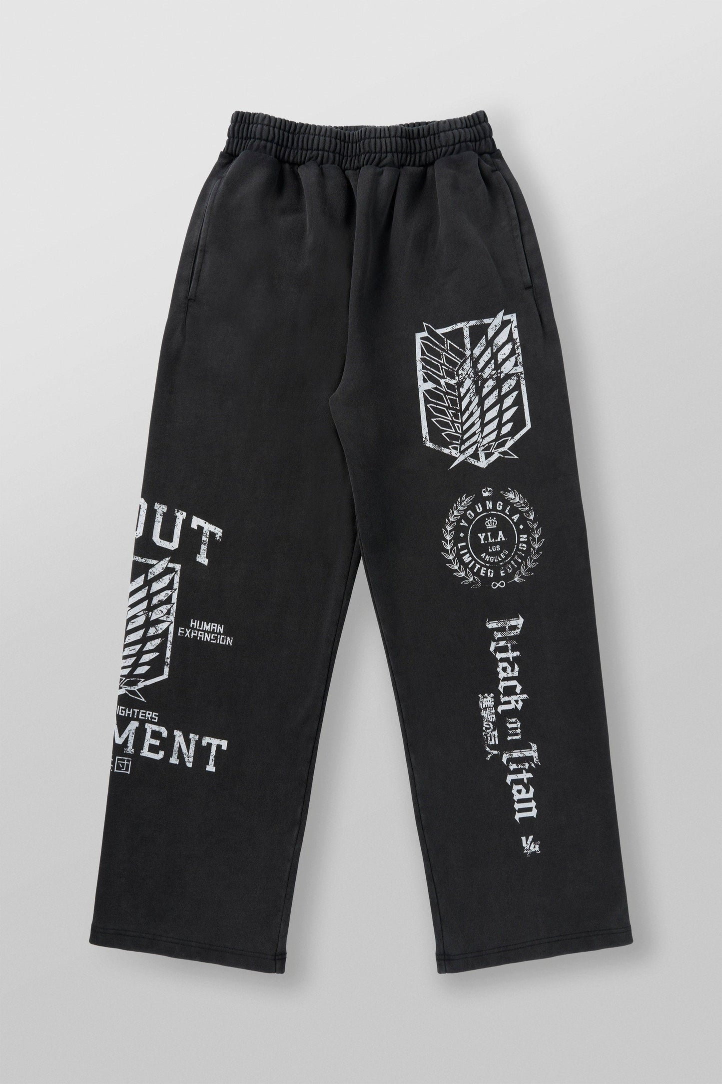 2128 - AOT x YLA Baggy Joggers - Regiment Freedom