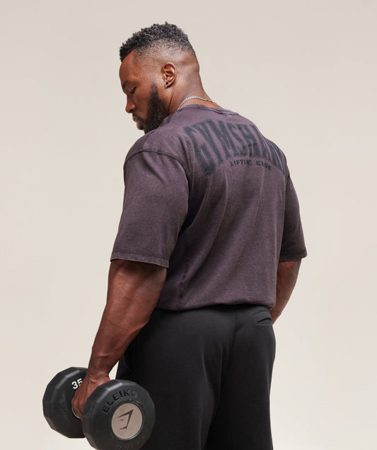 GS-0087 Heritage Washed T-Shirt - Plum Brown