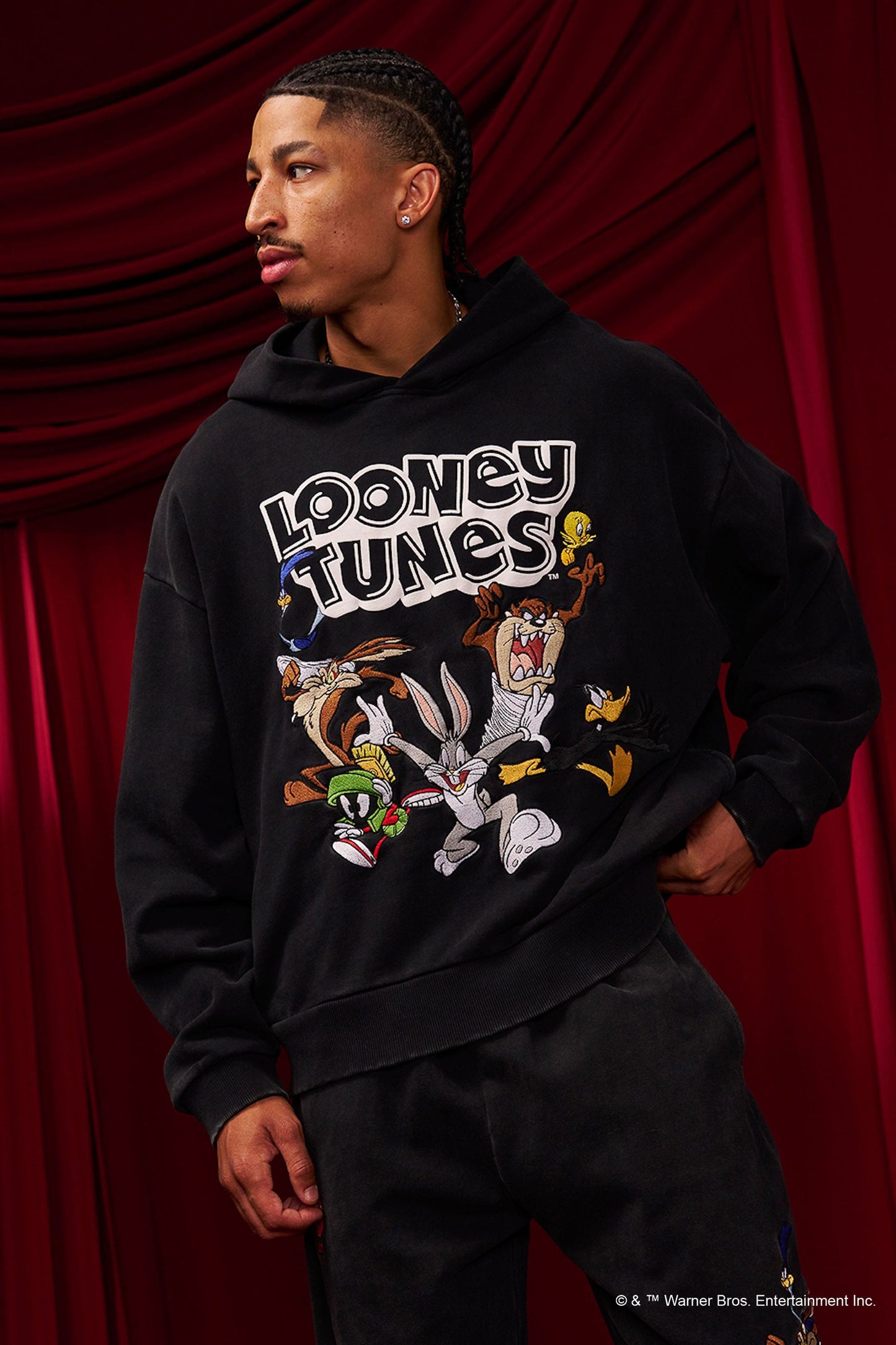 5114 - Looney Tunes Embroidered Hoodies - The Crew