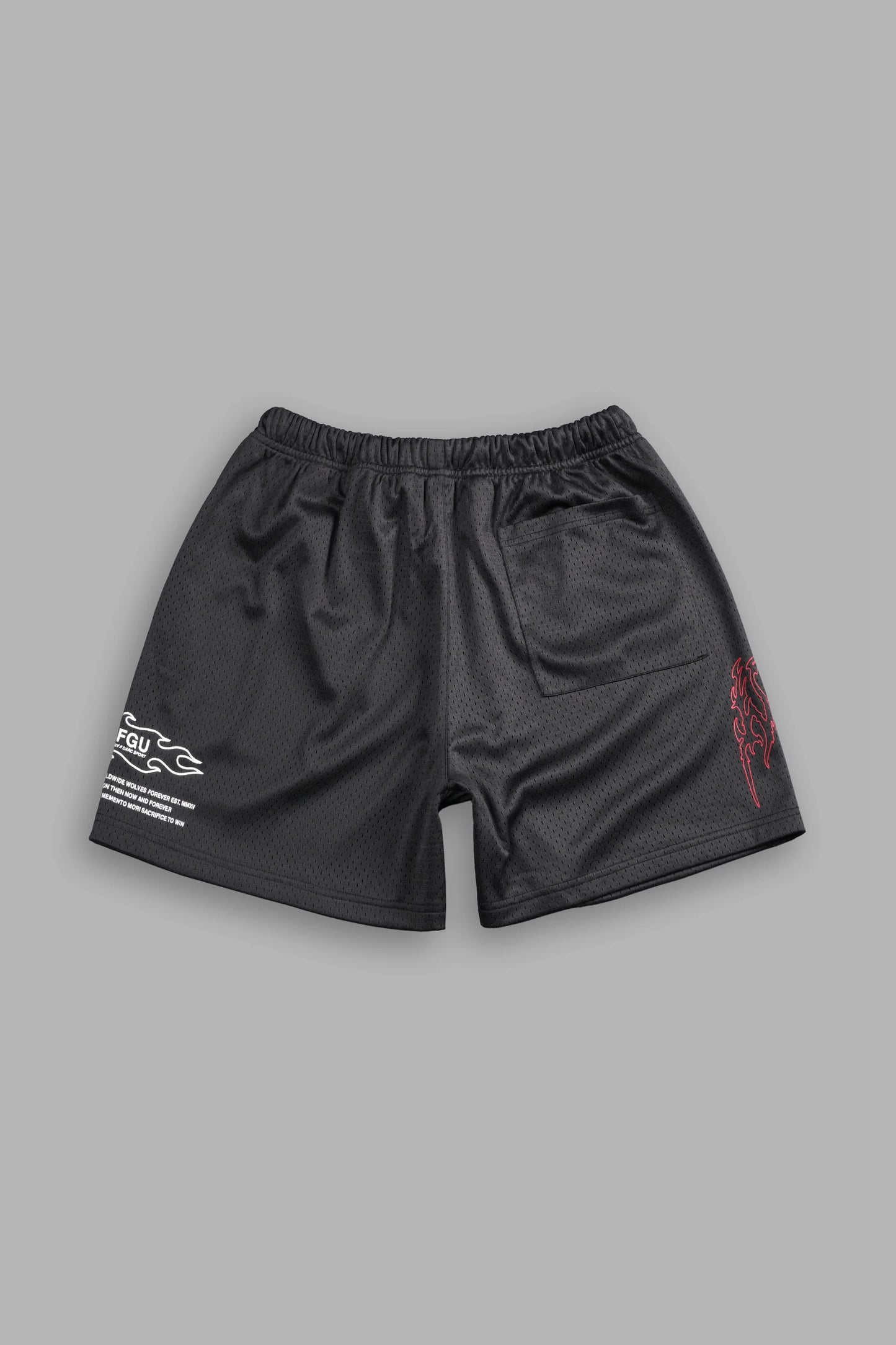 DS-0118 Shadow Hesh Mesh Shorts in Wolf Gray