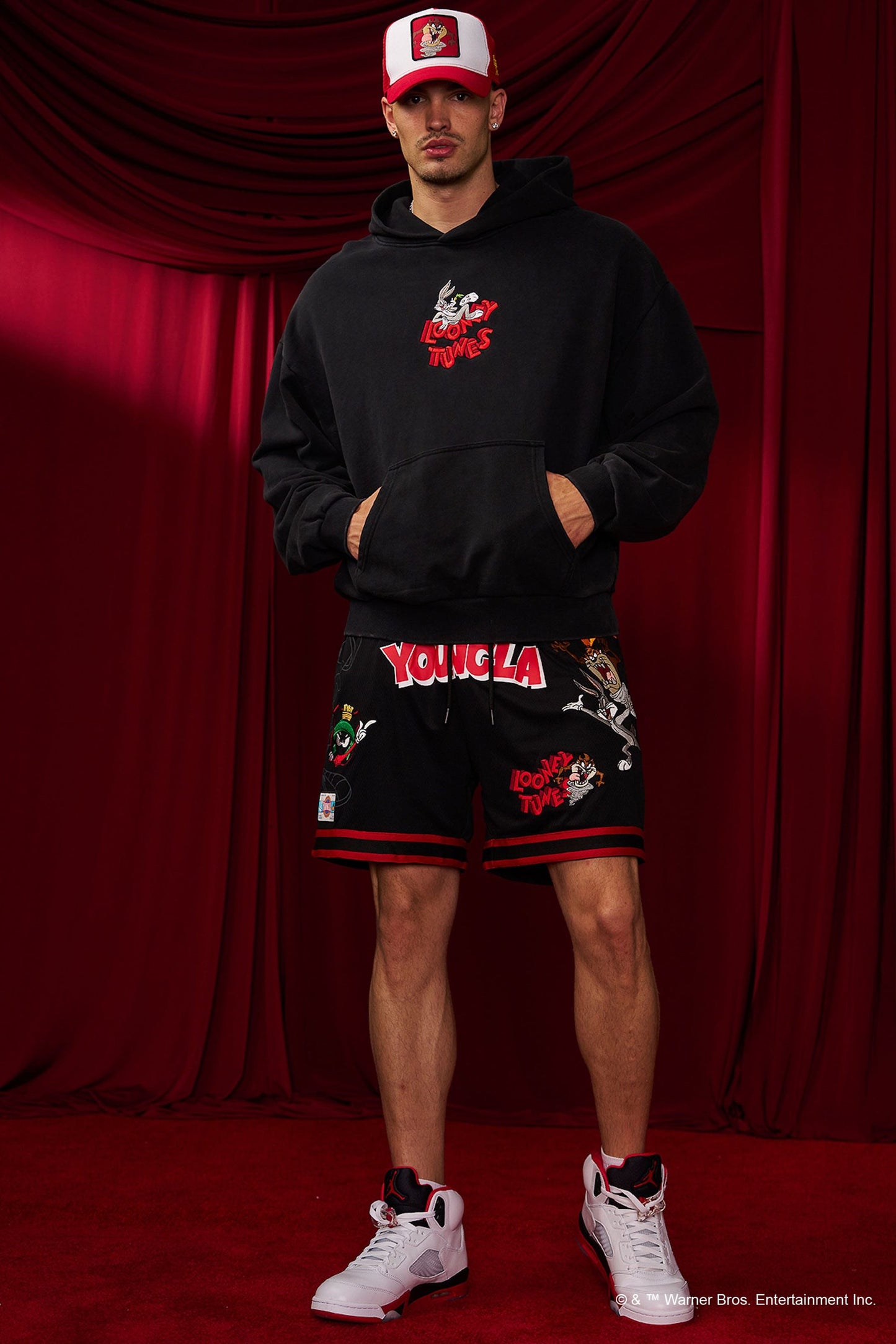 5114 - Looney Tunes Embroidered Hoodies - Last Run