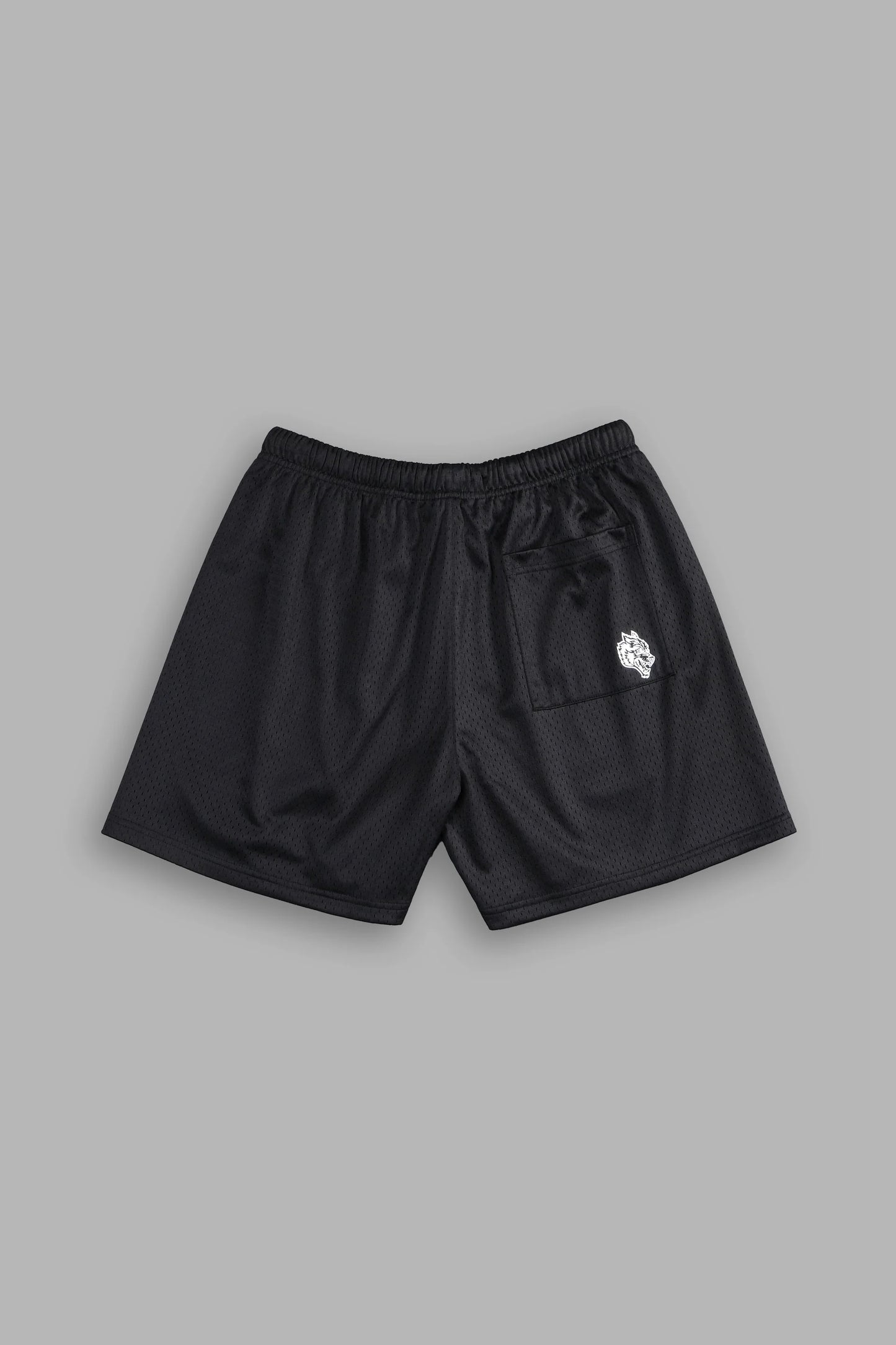 DS-0124 NFGU Powerhouse Mesh Shorts in Black