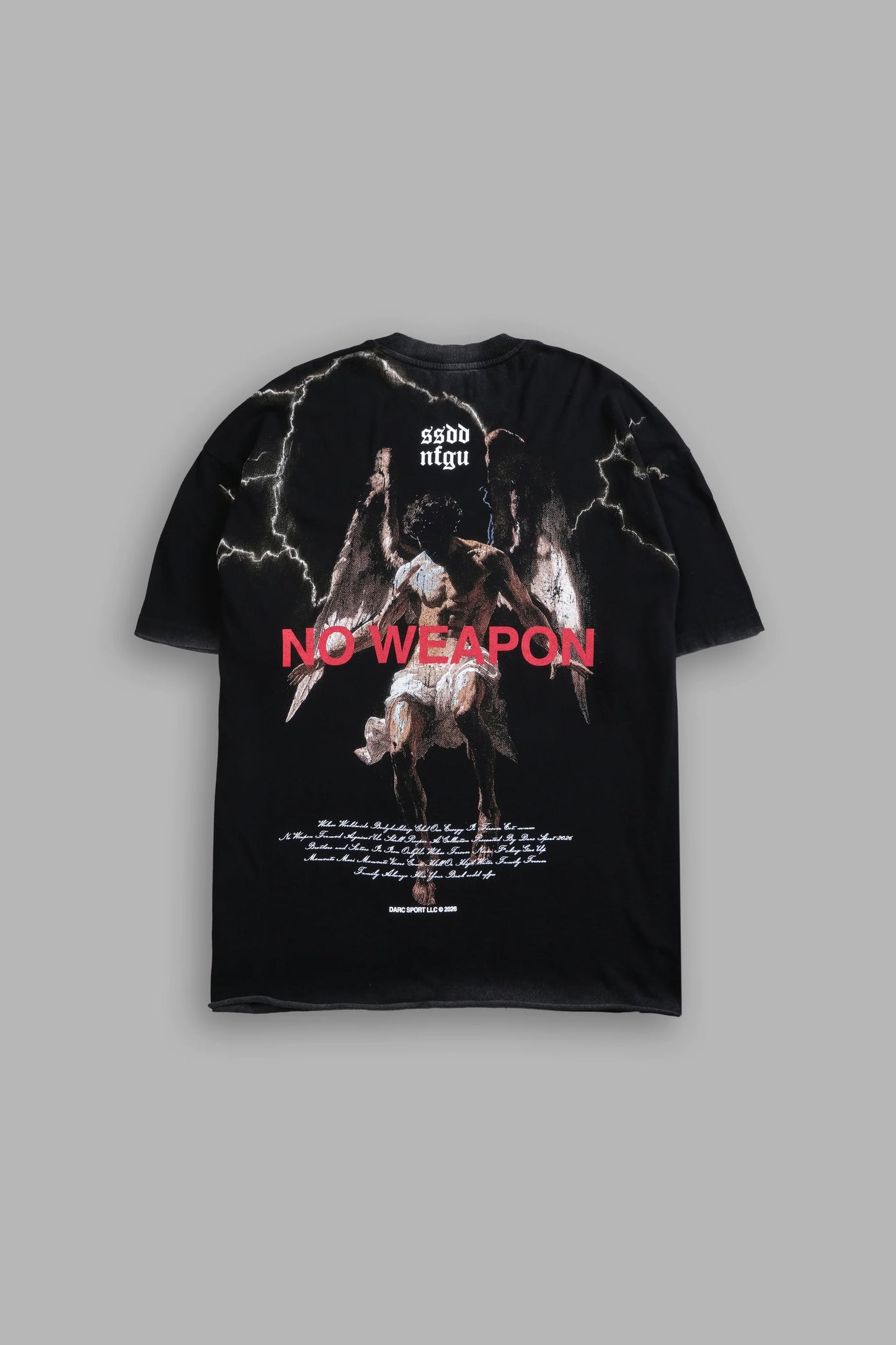 DS-0189 Fallen Angel Raw Hem Premium Oversized Tee in Black