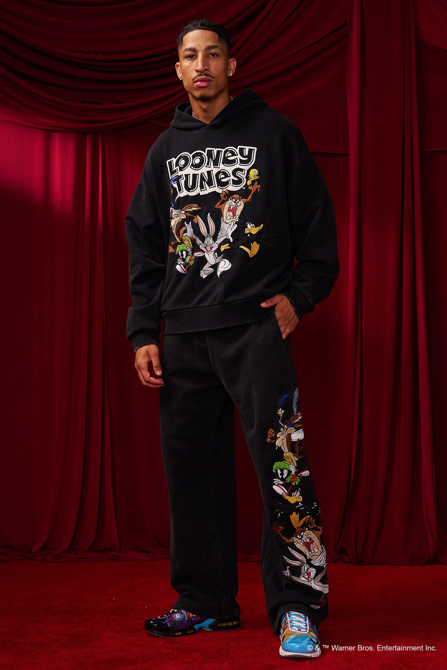 5114 - Looney Tunes Embroidered Hoodies - The Crew