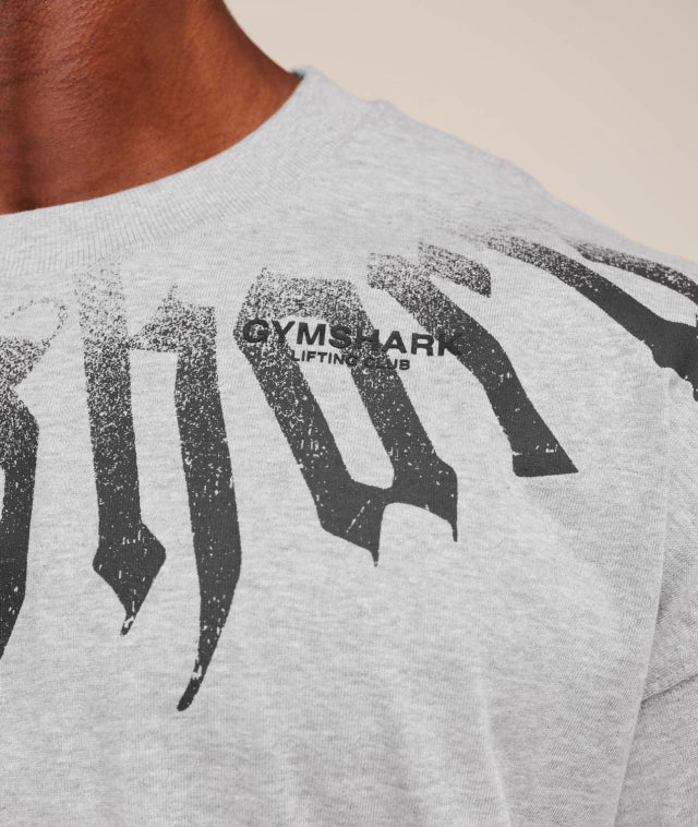 GS-0058 FADE GRAPHIC T-SHIRT Light Grey Core Marl